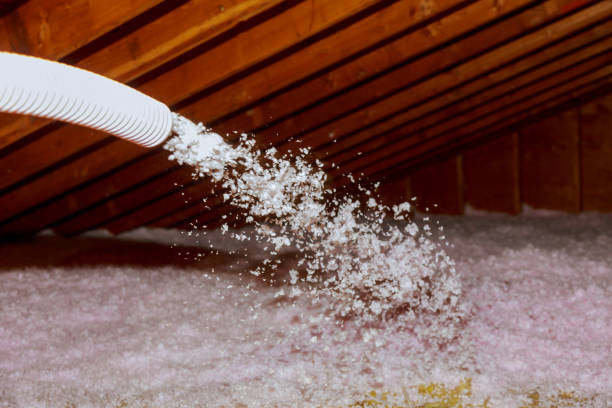 Insulation Inspection Services in Wyoming, DE