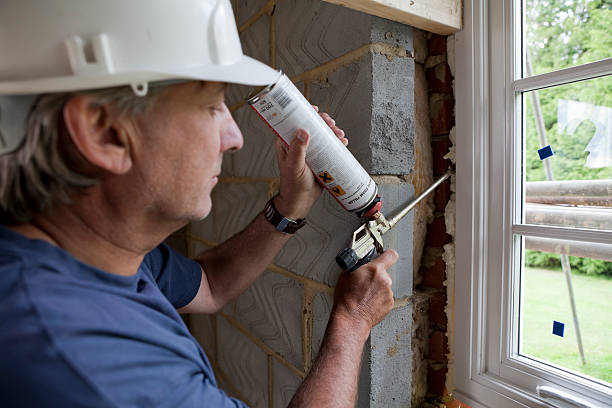 Best Insulation Replacement Services  in Wyoming, DE